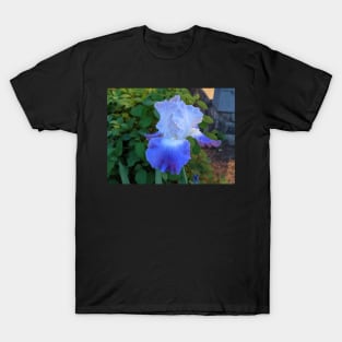 Blue Iris T-Shirt